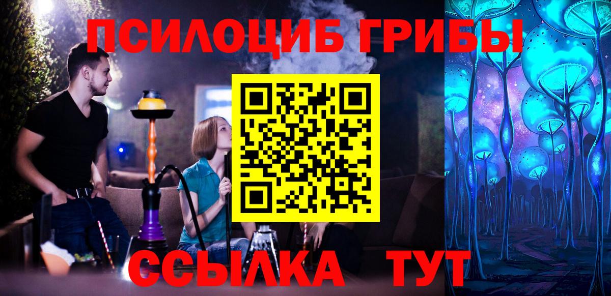 Россия  Псилоцибиновые грибы MAGIC MUSHROOMS  Вход с VPN  Псилоцибиновые грибы Psilocybine cubensis 